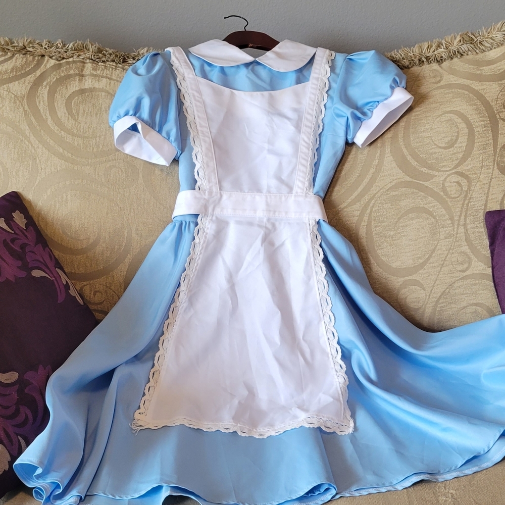 Disney's Alice in wonderland Cosplay costume